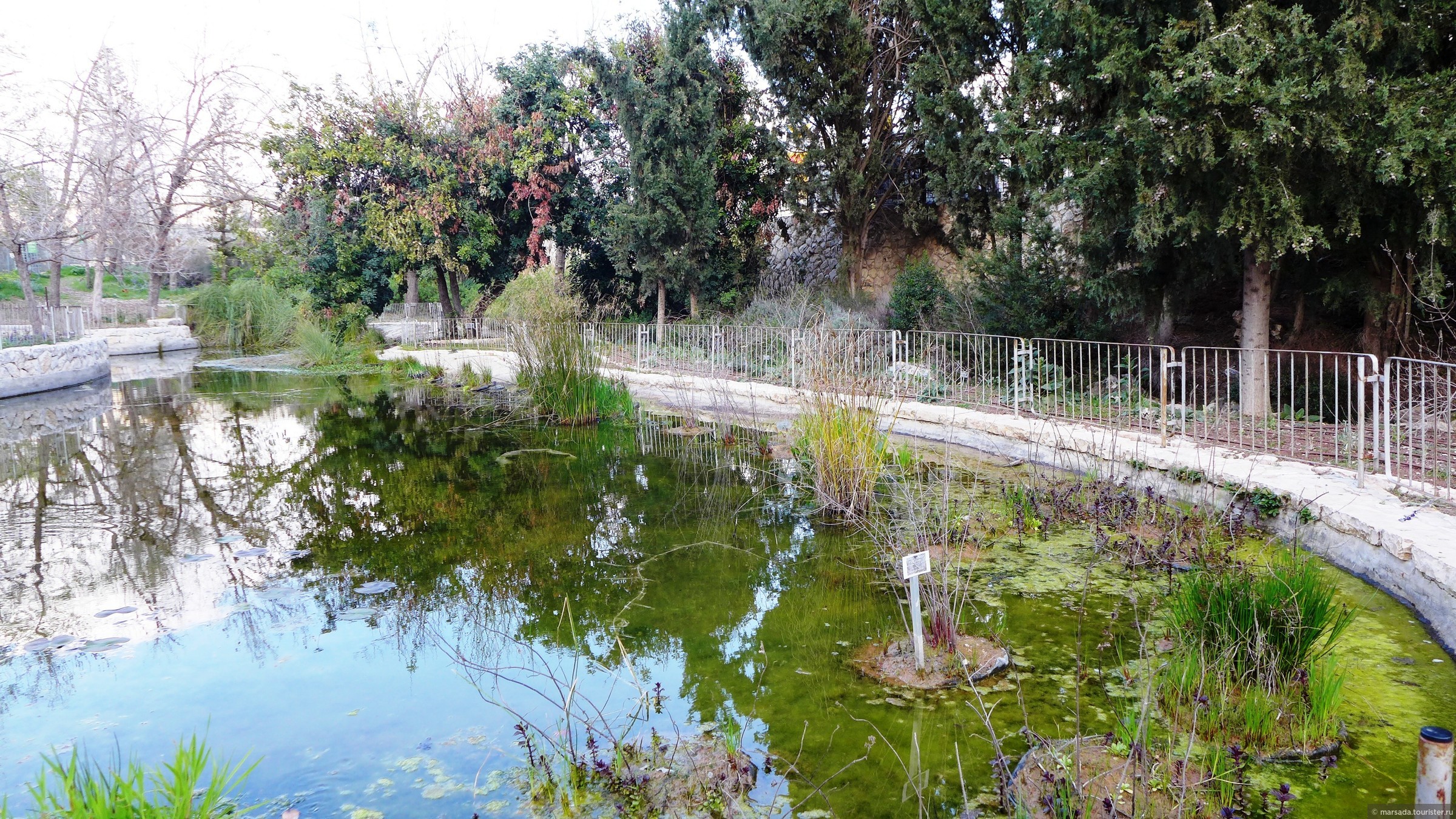 Ботанический сад - Блог про Израиль